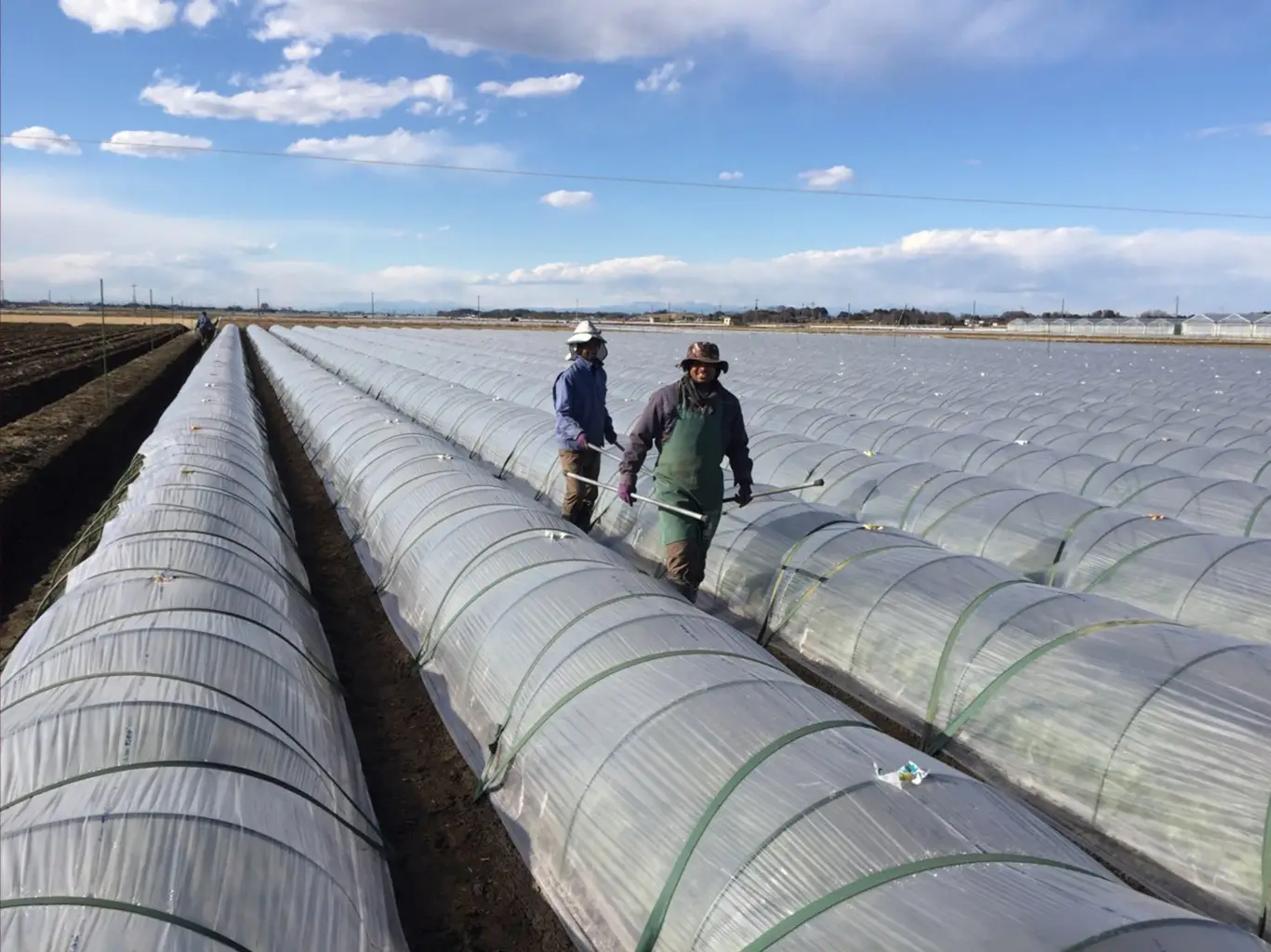 Agriculture work supported by Power Japan
